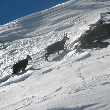 Dolomitissime Holiday Homes Marmolada Rocca Pietore Bagian luar foto
