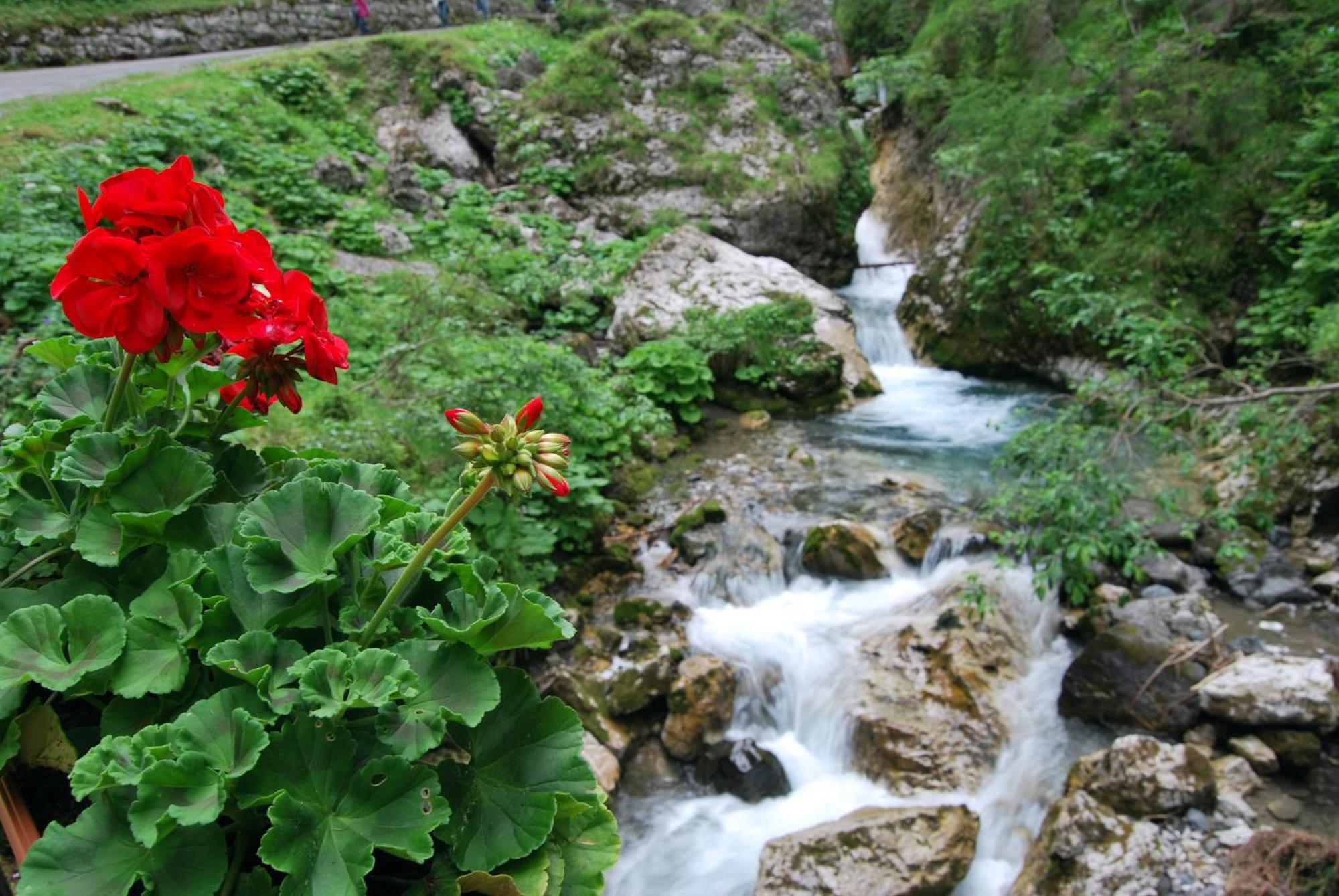 Dolomitissime Holiday Homes Marmolada Rocca Pietore Bagian luar foto